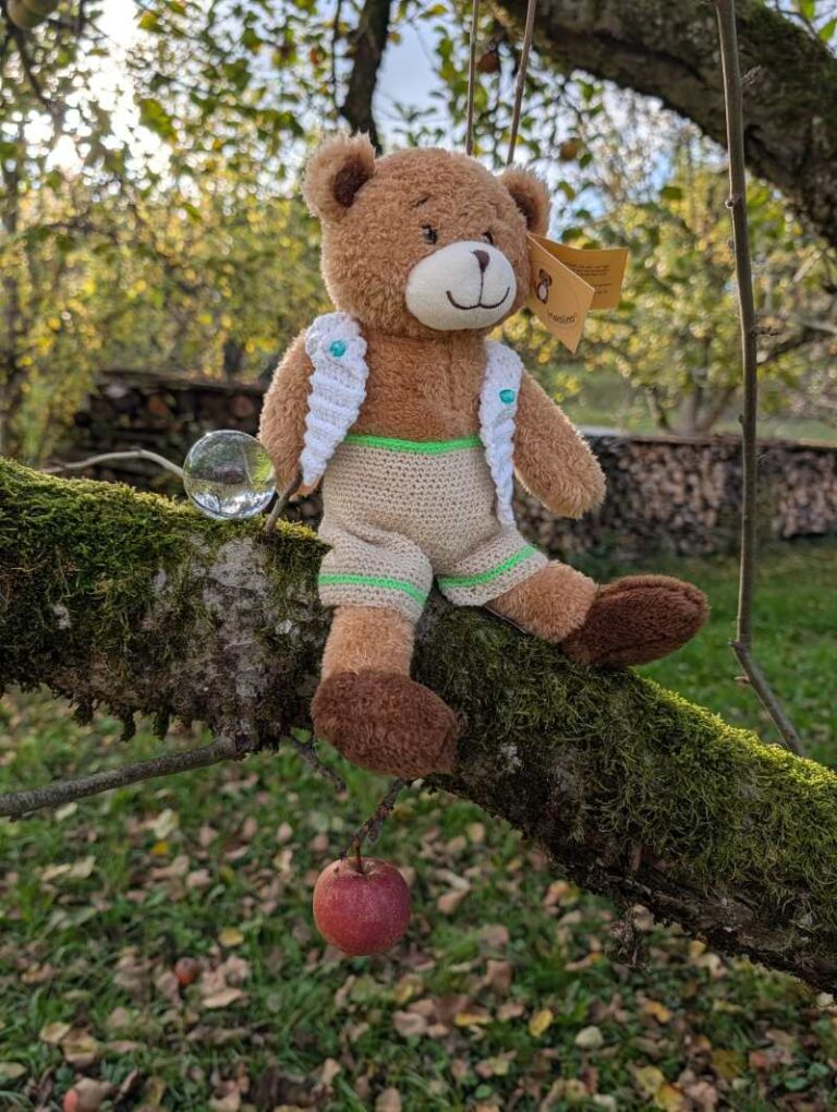 baer3
